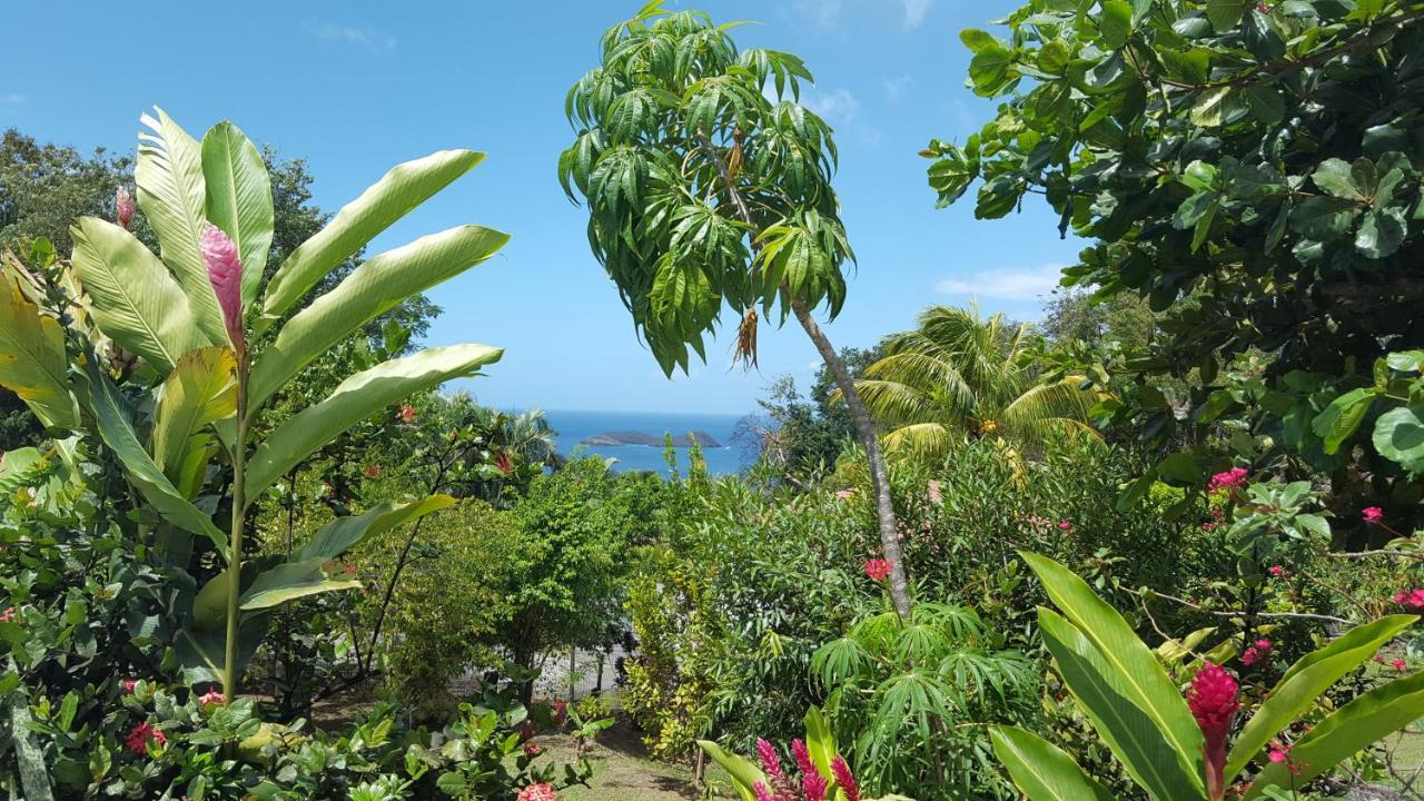 Vacances Bien Etre Guadeloupe Буянт Екстер'єр фото