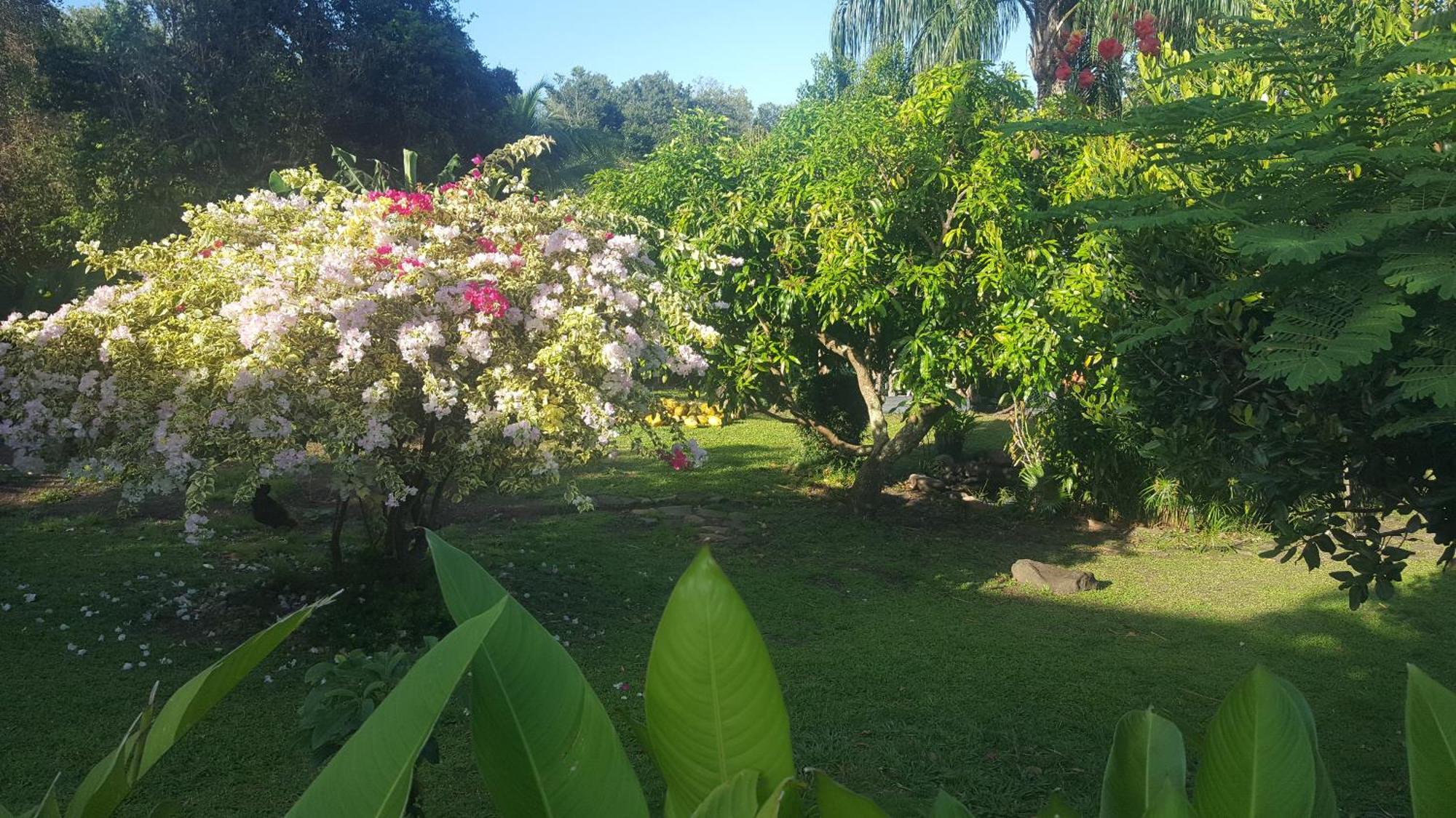 Vacances Bien Etre Guadeloupe Буянт Екстер'єр фото